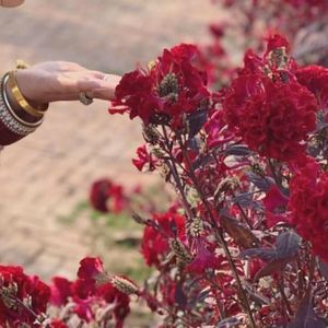 Meet your Posher, Raman